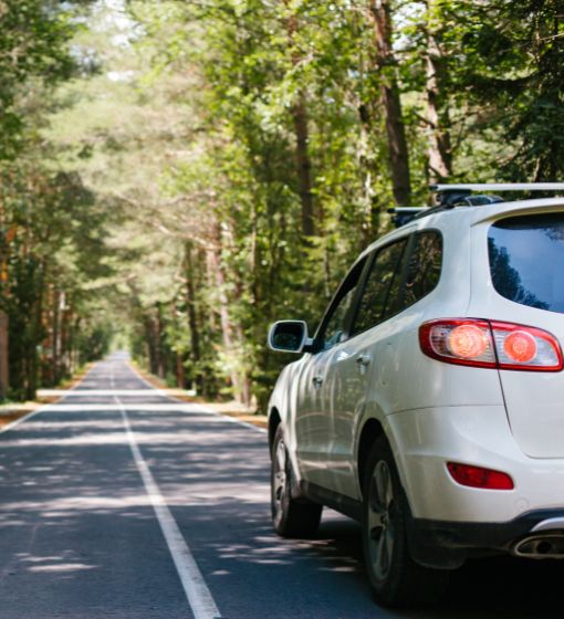 Best Car Insurance in Dunedin, FL
