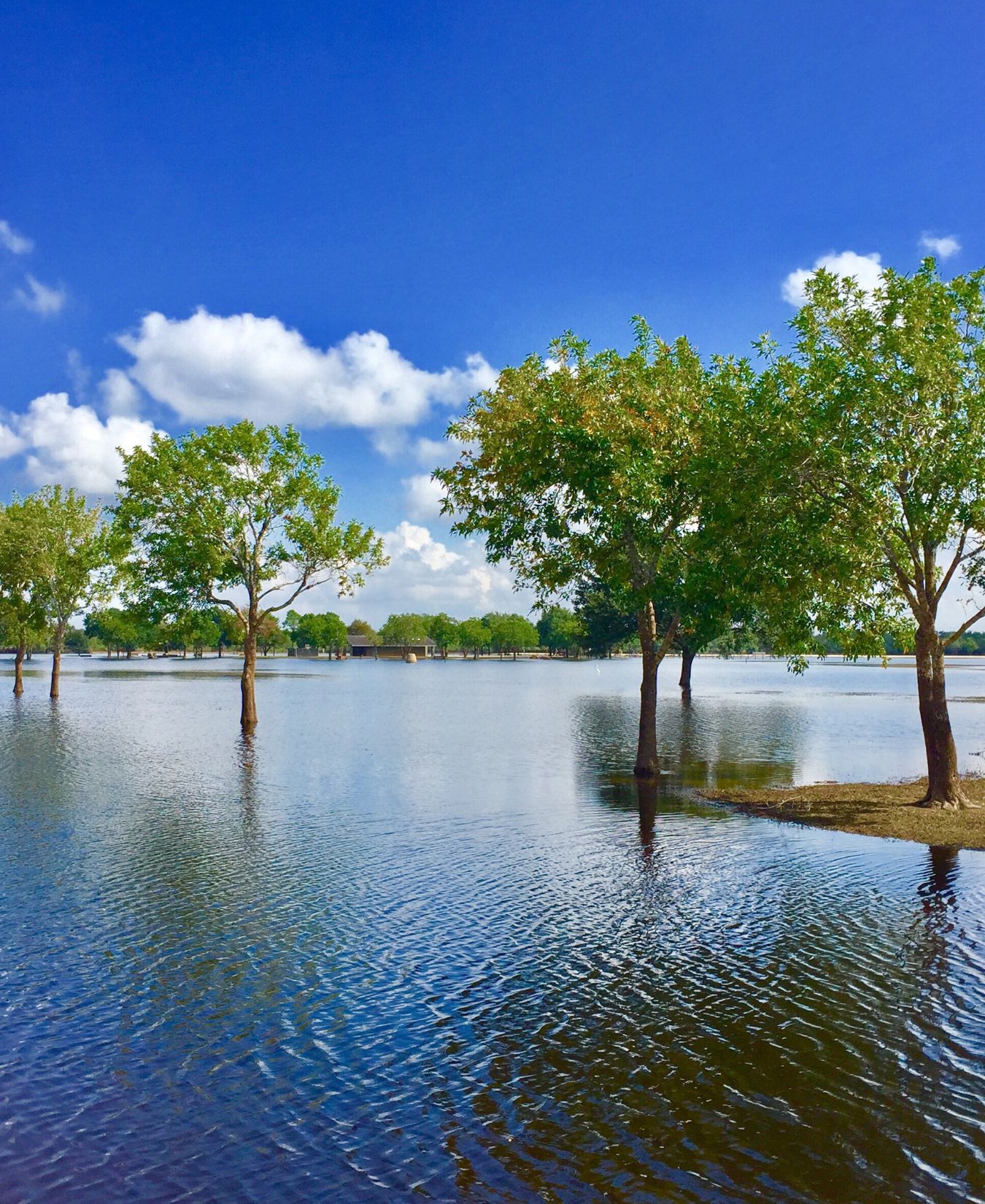 Flood Insurance in Punta Gorda, FL