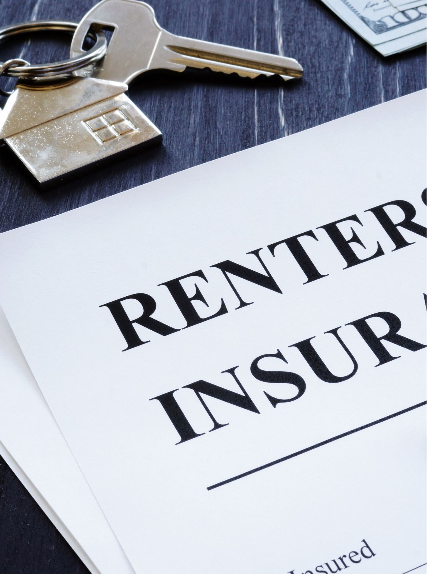 Renters Insurance in Punta Gorda