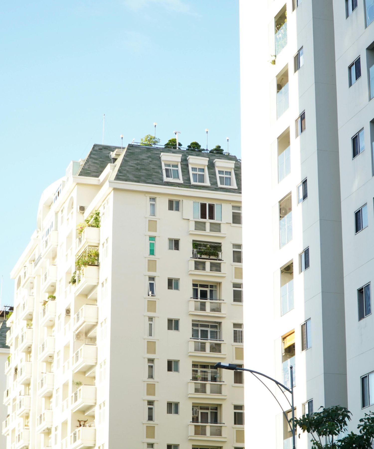 Home Insurance in Dunedin