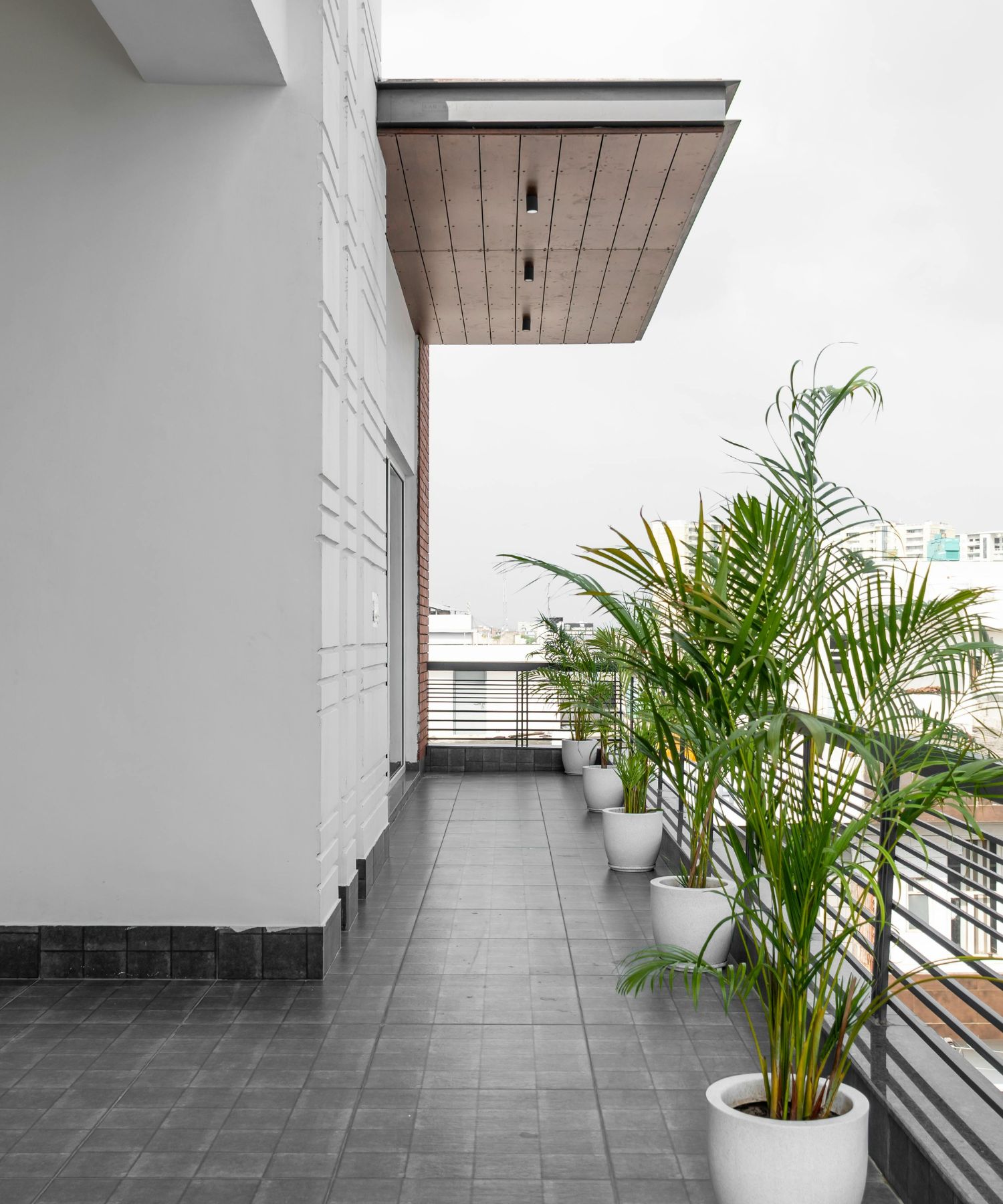 Home Insurance in Dunedin